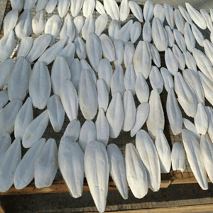 Os de seiche, matériau naturel de coquille sépia pour accessoires d'oiseaux et décorations d'aquarium, fabricant vietnamien - Product Image 6