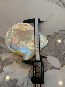 ถาดเปลือกหอยมุกขัดเงา งานฝีมือ จานเปลือกหอยธรรมชาติ จานใส่ไข่ปลาคาเวียร์สุดหรู ของที่ระลึก ของขวัญ ขายส่ง ราคาพิเศษ - Product Image 2