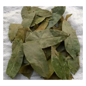 Hojas de Guanábana Secas de Vietnam, Hoja de Graviola Natural, Materia Prima - Product Image 4