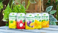 Producent Dranken OEM ODM Private Label 330ml Mango Fruchtsap Vietnam Natuurlijke Puree Appel Ananas Watermeloen Zuurzak