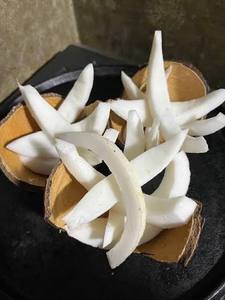Proveedor Mayorista de Pulpa de Coco Madura Fresca Premium de Vietnam, Pulpa de Coco Blanca Natural para Procesamiento de Alimentos OEM - Product Image 6