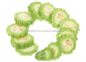 Melón amargo fresco de Vietnam – Orgánico, Vegetal Premium, Natural, Fresco de Granja // Mr.Tom - Product Image 5