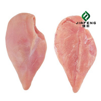 Pechuga de Pollo Halal Congelada Sin Hueso, Grado de Exportación, Precio Directo de Fábrica