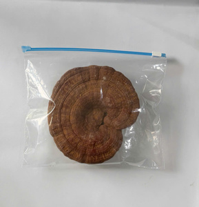 Durable zipper bags keep food fresh, organize items neatly, and provide a secure, reusable storage <b>solution</b> for daily use safe! - Product Image 1