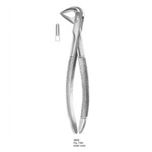 คีมถอนฟัน รุ่น Fig. รากล่าง 74M (แบบอังกฤษ) |   สแตนเลสเกรดพรีเมียม - Product Image 3