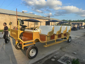 Tourisme Tourisme Chevaux Européens Charrettes Wagon Transport <span class=keywords><strong>Mariage</strong></span> Calèche Électrique - Product Image 4