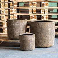 Pot en ciment moderne et écologique avec silhouette arrondie aux tons terreux pour la maison et le jardin pour les amateurs de plantes et les stylistes