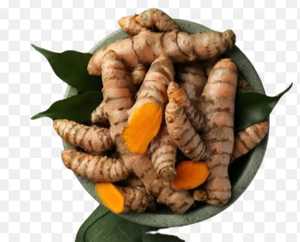 Cúrcuma Fresca Entera Cruda de Primera Calidad, Raíces Naturales para Cocinar, Procesamiento de Alimentos, Suministro de Especias al por Mayor - Product Image 5