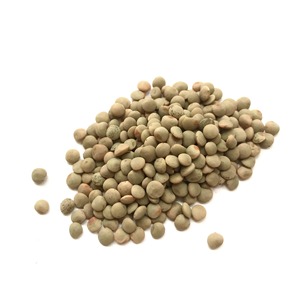Lentejas Verdes Secas Premium 100% Preparadas para Compradores Mayoristas de Alimentos, Calidad Natural y Empaques Seguros para Exportación a Granel - Product Image 6
