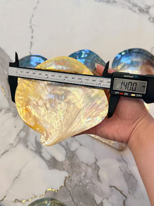 PLAT EN COQUILLE POLI 15-30CM |   Perle brillante 100% naturelle rose, noire et jaune |   PLAQUE À LUSTRE RAINBOW MULTICOLORE - Product Image 6