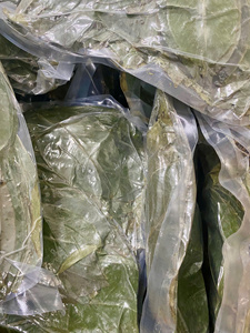 100% feuilles de corossol nature/feuilles de graviola/thé Guyabano/mme Lima - Product Image 6