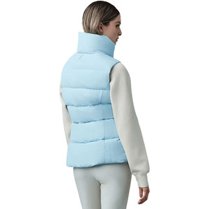Gilet matelassé pour femme, nouvelle collection automne-hiver, sans manches, rembourré en polyester, col rabattu, vêtement d'extérieur décontracté, grandes tailles pour femme - Product Image 2