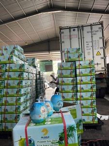 Cocos Verdes Frescos de Vietnam de Grado de Exportación, Cocos Verdes Raspados con Corte Diamante para Venta al por Menor - Product Image 5