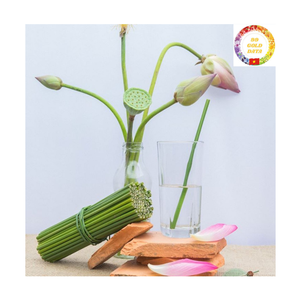 Biodegradable Grass <b>Straws</b> | Natural Organic Material | <b>Disposable</b> Eco Friendly | For Party Event Outdoor Use - Product Image 5