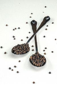 Poivre noir en poudre de qualité supérieure 550GL, épice au goût intense, idéal pour la cuisson au rôtissoire de l'agneau et du bœuf, les plats chauds et la vente en gros - Product Image 6