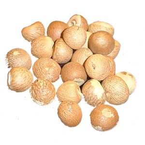 Noci di <span class=keywords><strong>Betel</strong></span> Intere Essiccate Marroni di Alta Qualità, Noci Areca, Erba Singola in Confezione Max Bag, Tipo Grezzo, Noci di <span class=keywords><strong>Betel</strong></span> Indiane all'Ingrosso per Alimenti - Product Image 5
