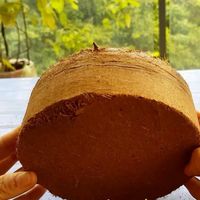Favori des clients : Tourbe de coco pour la germination des graines et l'amélioration du substrat de potage – Qualité supérieure 2026
