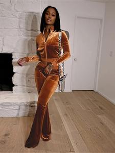 Conjunto Deportivo de 2 Piezas para Mujer, Invierno, Terciopelo Bordado, Sudadera con Cierre y Pantalones Deportivos, Casual, Suave - Product Image 5