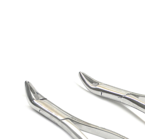 Kit Básico de Elevadores Dentales, Fórceps de Extracción, Instrumentos Quirúrgicos Dentales Manuales de Acero Inoxidable, Certificación CE - Product Image 3