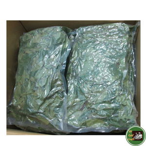 Feuilles de corossol séchées, qualité Vietnam, séchées au soleil, produit naturel utilisé dans les mélanges de saveurs pour le thé et l'industrie des herbes. - Product Image 1