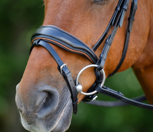 En gros, Bridon et rênes en cuir de cheval fait main de qualité supérieure, durables et confortables, pour l'équitation et l'entraînement, Noir Cob 2x1.5x2m - Product Image 2