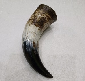 Coupe à shot Viking en corne d'animal polie, forme naturelle, écologique, style Viking, pour la décoration intérieure - Product Image 3