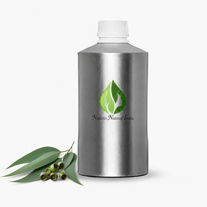 Aceite Esencial de Eucalipto 100% Puro y Fresco, Destilado al Vapor, Grado Cosmético para Aromaterapia, Fabricante Mayorista OEM/ODM - Product Image 3