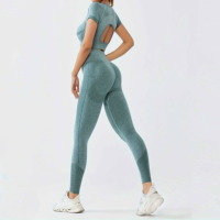 Service OEM Pantheraint, vêtements de fitness hautement élastiques, ensemble de vêtements de sport sans couture, leggings ajustés, ensemble deux pièces pour femmes, évacuation de l'humidité