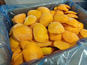 Mango Congelado de Alta Nutrición / Trozos de Mango IQF a Precio Competitivo para Mayoristas - Product Image 1