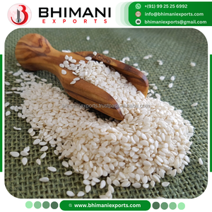 Semillas de Sésamo Descascarilladas Blancas de Alto Contenido de Aceite, Limpieza Sortex, Grado Panadería, Certificación APEDA, Empaque a Granel, Extracción de Aceite, Sin OGM - Product Image 2