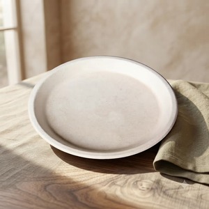 Assiette ronde de 11 pouces en bagasse naturelle, résistante aux fuites, vaisselle jetable compostable fabriquée à partir de fibres de canne à sucre - Product Image 4