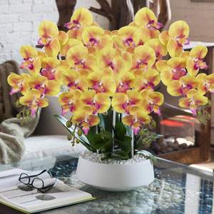 THAF-009 Tiges d'orchidées artificielles de haute qualité, fleurs de Phalaenopsis en latex réalistes pour la décoration intérieure moderne - Product Image 4