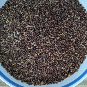 Semillas de Sésamo Marrón Cuidadosamente Seleccionadas, Listas para Exportación, Empaque a Granel para Compradores Importadores que Buscan un Suministro de Ingredientes Naturales Ricos en Aceite - Product Image 6