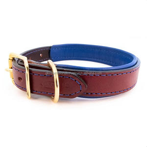 Colorful Padding Extra Wide Heavy Duty Leather Dog Collar for All Size Pets with Contrast Edge Stitching & Gold Plated Hardware - Product Image 2