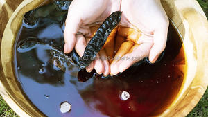 Champú Herbal Bo Ket Honey Locust para el Cabello, Nutritivo, Reparador, Refrescante, Cuidado Diario, Empaque a Granel OEM - Product Image 2