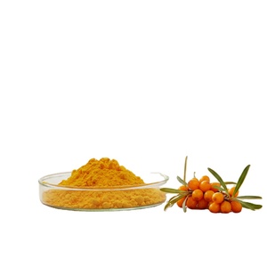 Poudre d'argousier authentique de qualité alimentaire, contenant des vitamines, des minéraux et des composés végétaux bénéfiques - Product Image 1