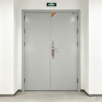 Porte coupe-feu en acier galvanisé certifiée CE, résistance au feu 1,5 heure, avec âme ignifuge, pour sortie de secours de bâtiment de bureaux - Vente en gros