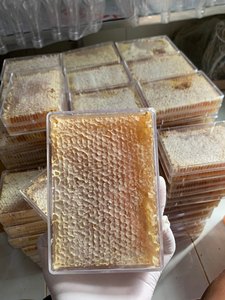 Miel Cruda de Primera Calidad en Forma de Panal, Producto Natural de Abejas, Empaque a Granel - Product Image 3