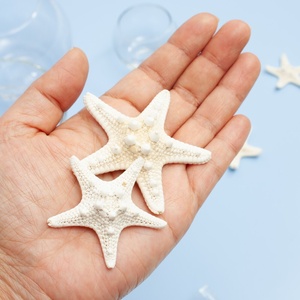 Étoiles de mer naturelles pour la création artisanale, lot d'étoiles de mer au prix le plus bas, décoration, étoile de mer, coquillage - Product Image 4