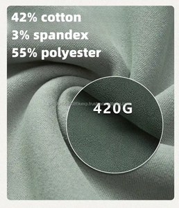 Polaire de haute qualité 420gsm pull en polyester coton surdimensionné lourd logo personnalisé sweats à capuche unisexe pour hommes - Product Image 3