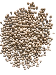 Pimienta Negra/Blanca Picante de Vietnam en Polvo, Grano Pequeño, Calidad Premium, 50 kg, 24 Meses de Caducidad, Fábrica Vilaconic - Product Image 2