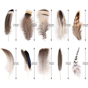 300 Pezzi di Piume Naturali per Fai da Te, 4 Stili Piccoli, Confezione Grande per Decorazioni Matrimoni, Casa e Feste - Product Image 3