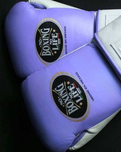 Gants de boxe sur mesure OEM style NBNL, en cuir de vachette premium, avec lacets. - Product Image 4