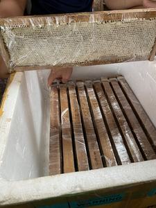 Losa de panal cruda a granel | Miel de colmena natural orgánica | Grado de exportación - Product Image 3