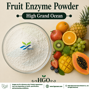 HGO Factory Direct Supply Natural Fruit Enzyme Powder (Food Grade) Fermented Functional Powder <b>Spray</b> Drying or Freeze-dried - Product Image 1
