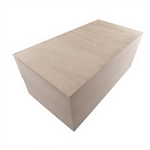 Plateforme de surface brute en contreplaqué d'eucalyptus 100% (LVD, LVB) avec surface plane poncée des deux côtés, moderne et de haute qualité - Product Image 5