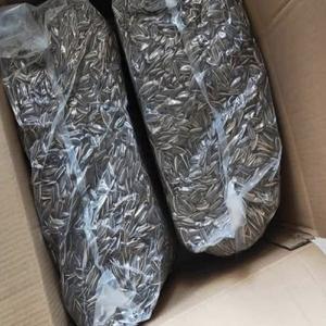 ซื้อเมล็ดทานตะวันคั่วแบบขายส่ง คุณภาพพรีเมียม จัดส่งรวดเร็ว ขนมขบเคี้ยวจากธรรมชาติ เหมาะสำหรับทำสลัด อบ ขนม และเป็นของว่าง - Product Image 2