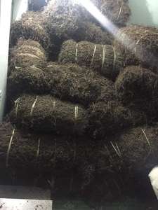 Jalea de Hierba Seca 100% Vietnamita (Mesona Chinensis) - A Granel/Bolsa, Certificación HACCP, 1kg, Origen Vietnam, Sra. Lily - Product Image 3