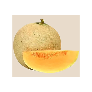 Melón Cantalupo Fresco Premium, Dulce y Jugoso, para Distribución al por Mayor y Mercado de Exportación - Product Image 3