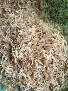 กุ้งแห้งสำหรับเด็กทารกจากเวียดนาม/เคยทารกแห้งคุณภาพสูง/คุณเควิน - Product Image 5